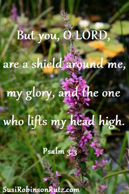 photography by bjwok / freedigitalphotos.net